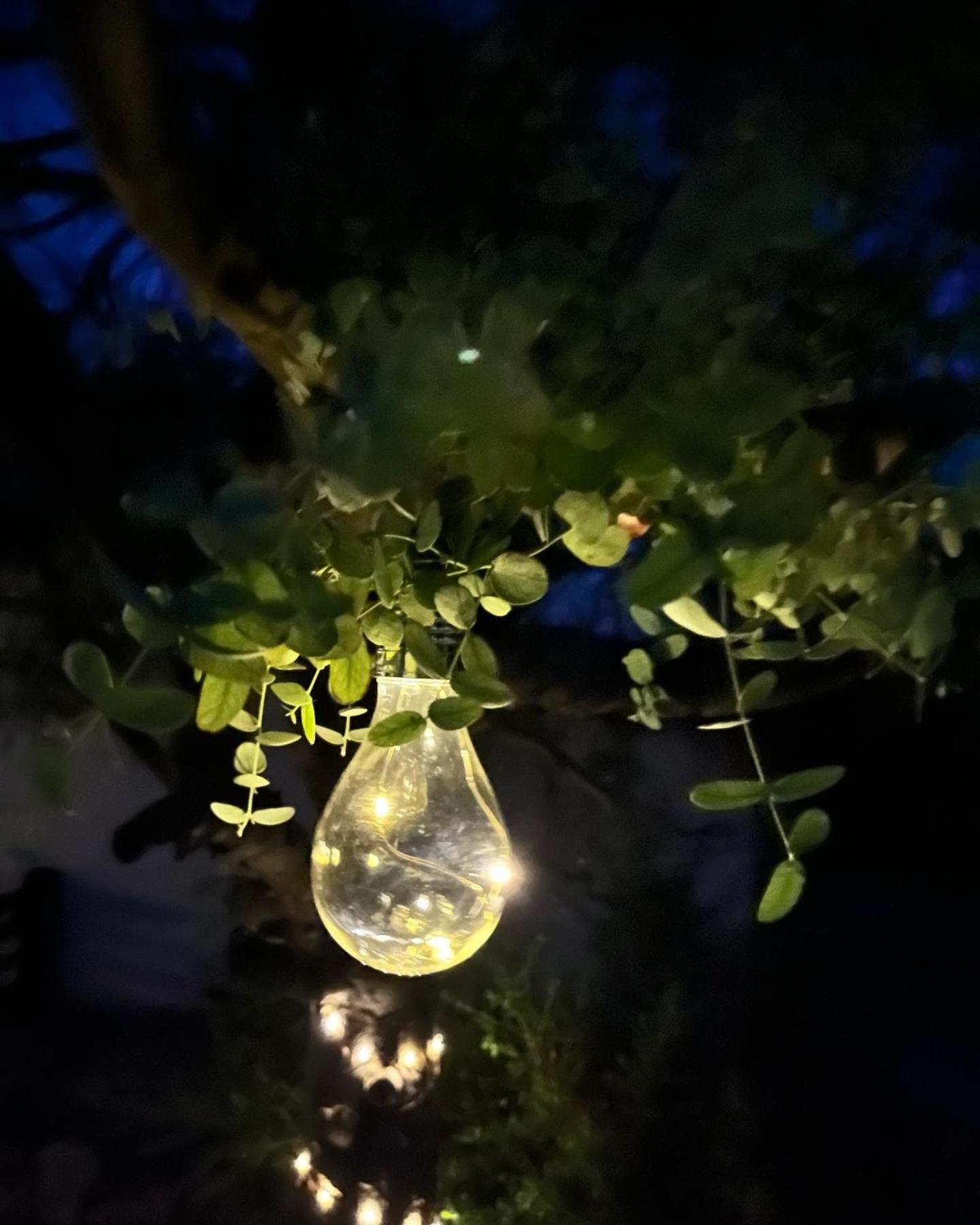 Gite La Borie Fons  Εξωτερικό φωτογραφία