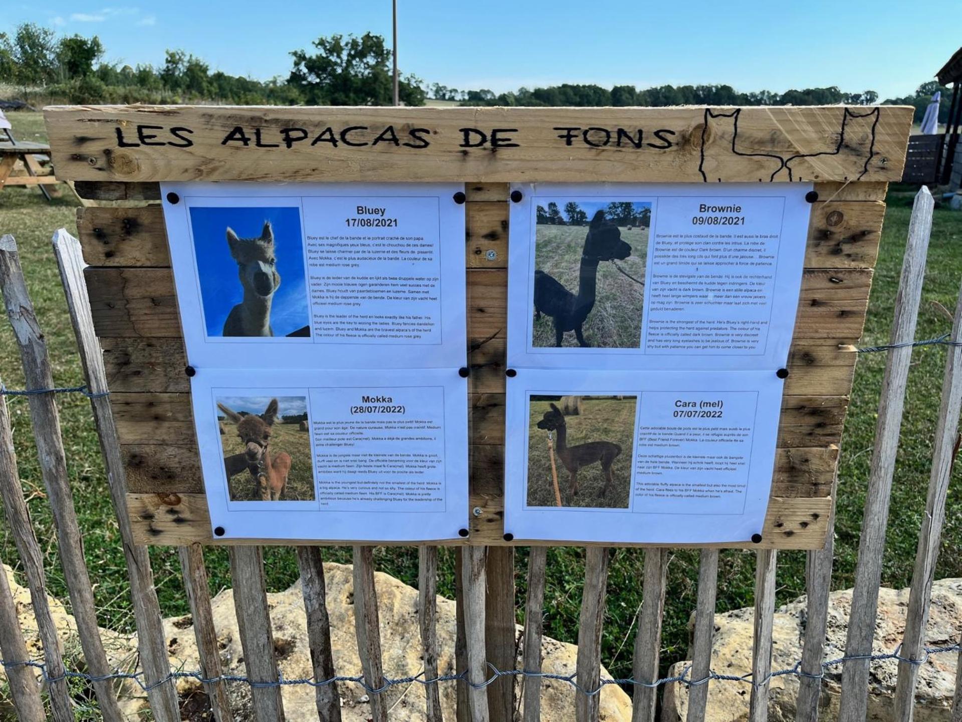 Gite La Borie Fons  Εξωτερικό φωτογραφία